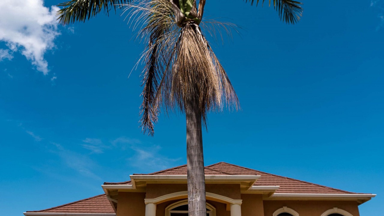 Photo of Outdoor in Whitehouse