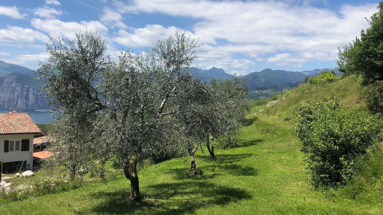 Photo of Outdoor in Malcesine