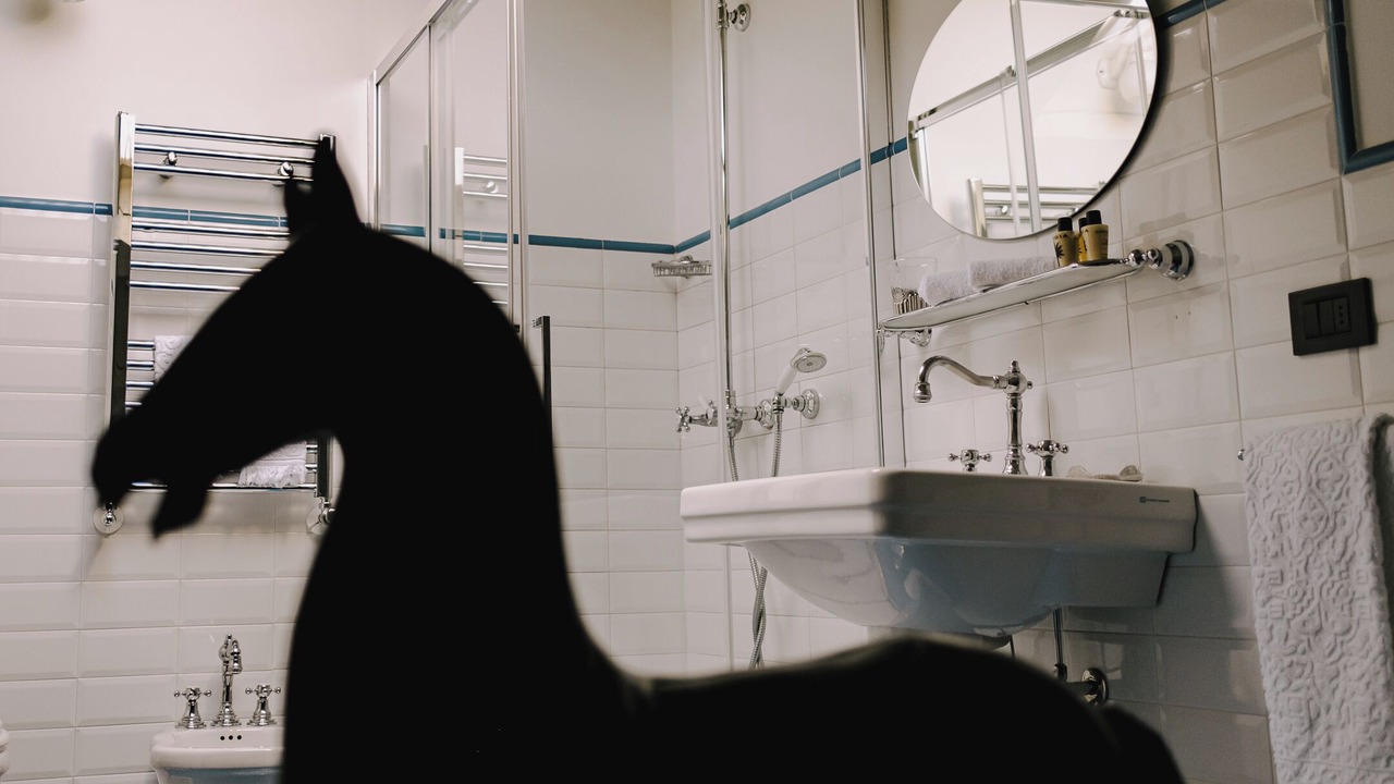 Photo of Bathroom in Treviso