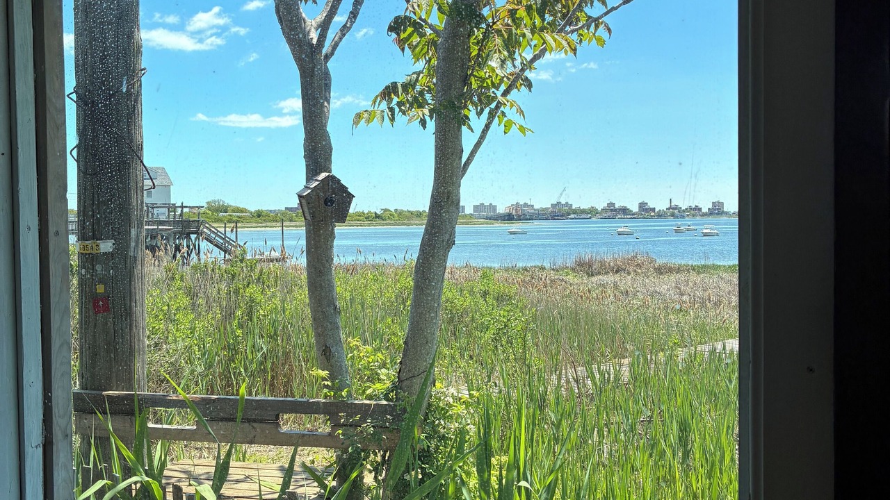 Photo of Others in Broad Channel
