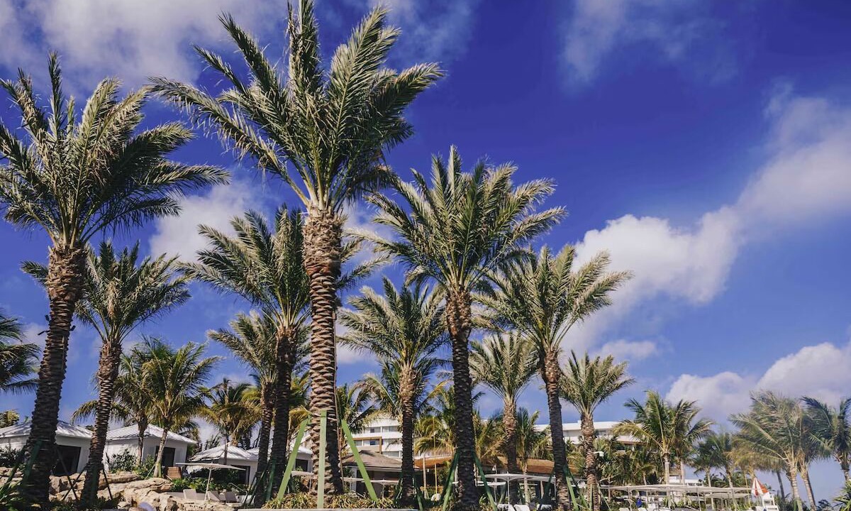 Photo of Outdoor in Nassau