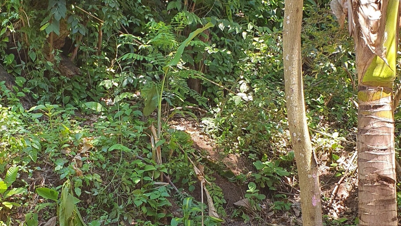 Photo of Outdoor in Barra de Guaratiba