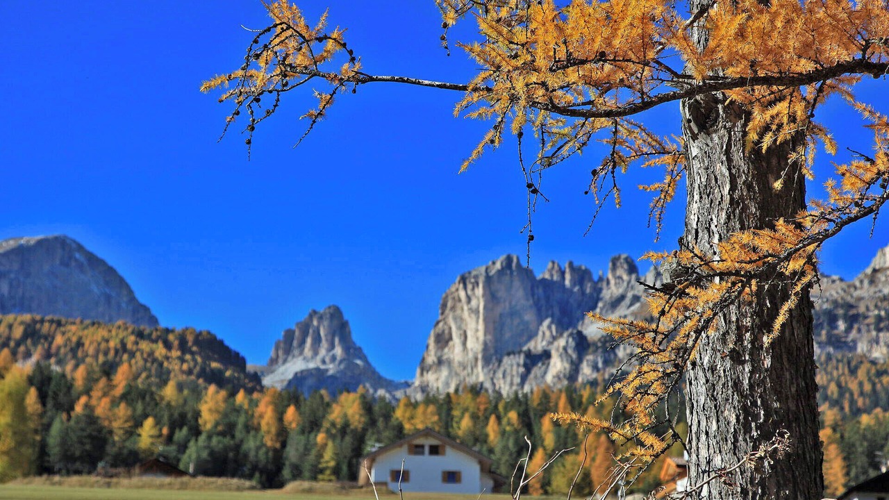 Photo of Others in Vigo di Fassa