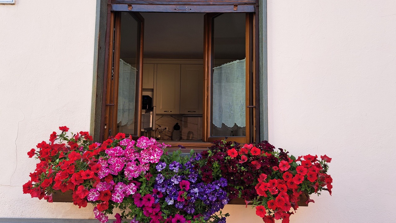 Photo of Outdoor in Ferrera di Varese