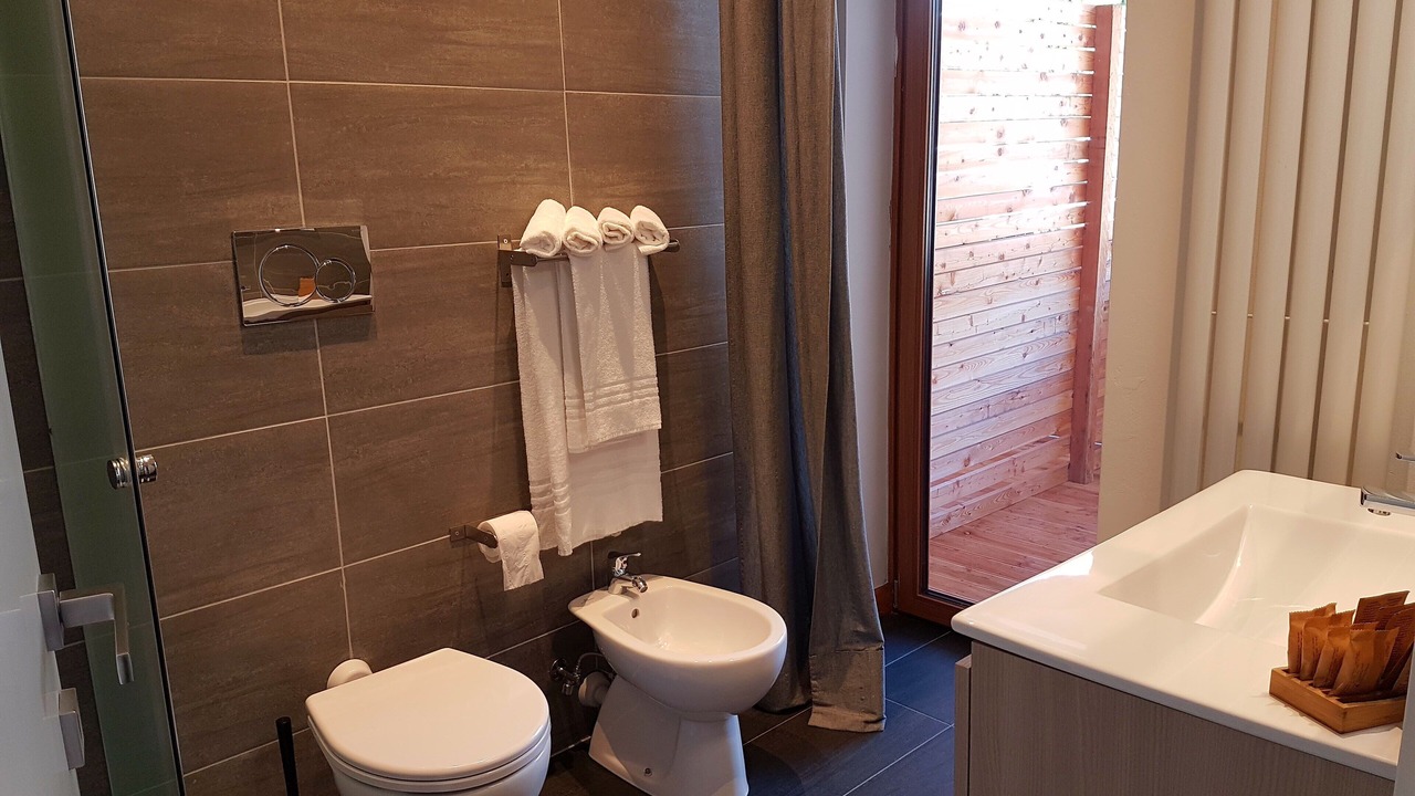 Photo of Bathroom in Sappada