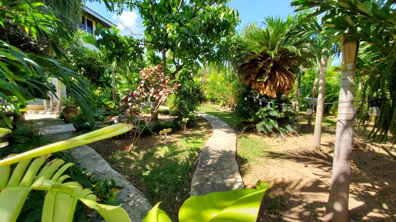 Photo of Outdoor in Runaway Bay