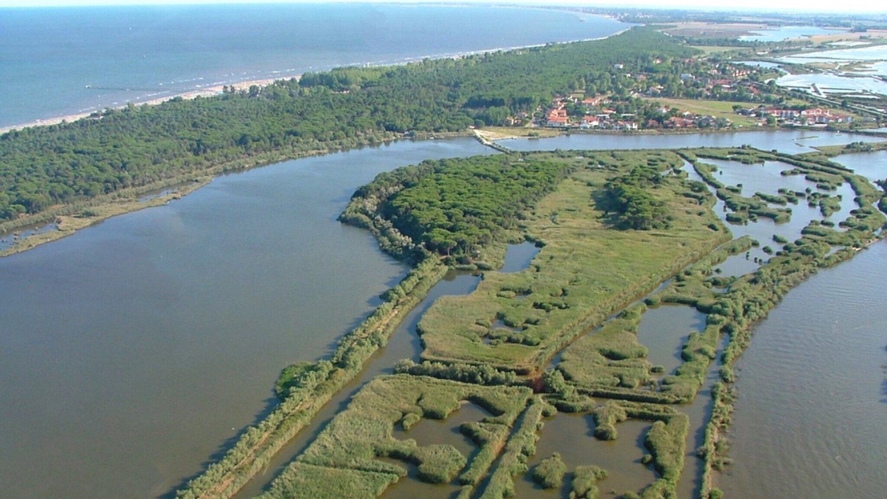 Photo of Outdoor in Rosolina Mare