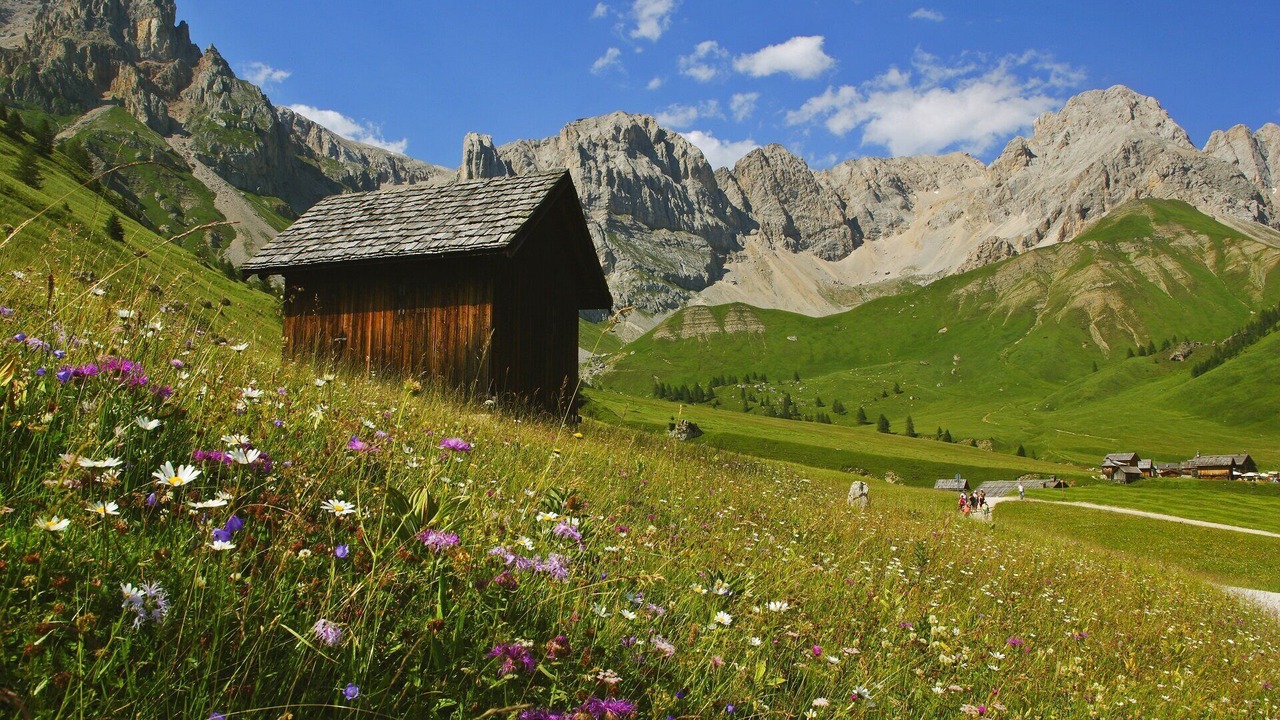 Photo of Others in Belluno
