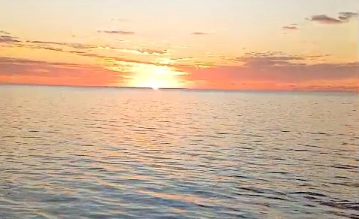 Photo of Others in Tar Bay
