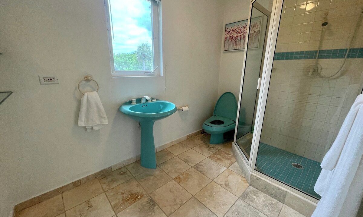 Photo of Bathroom in North Palmetto Point