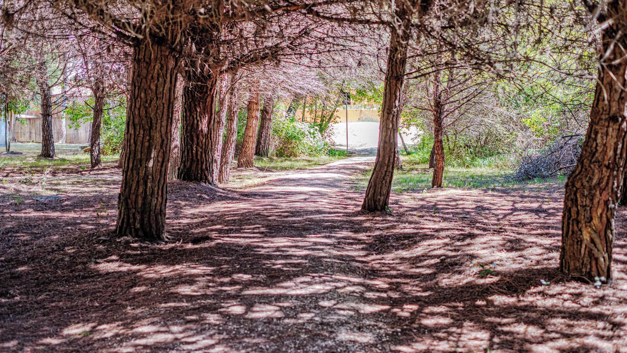 Photo of Outdoor in Bibione Lido del Sole