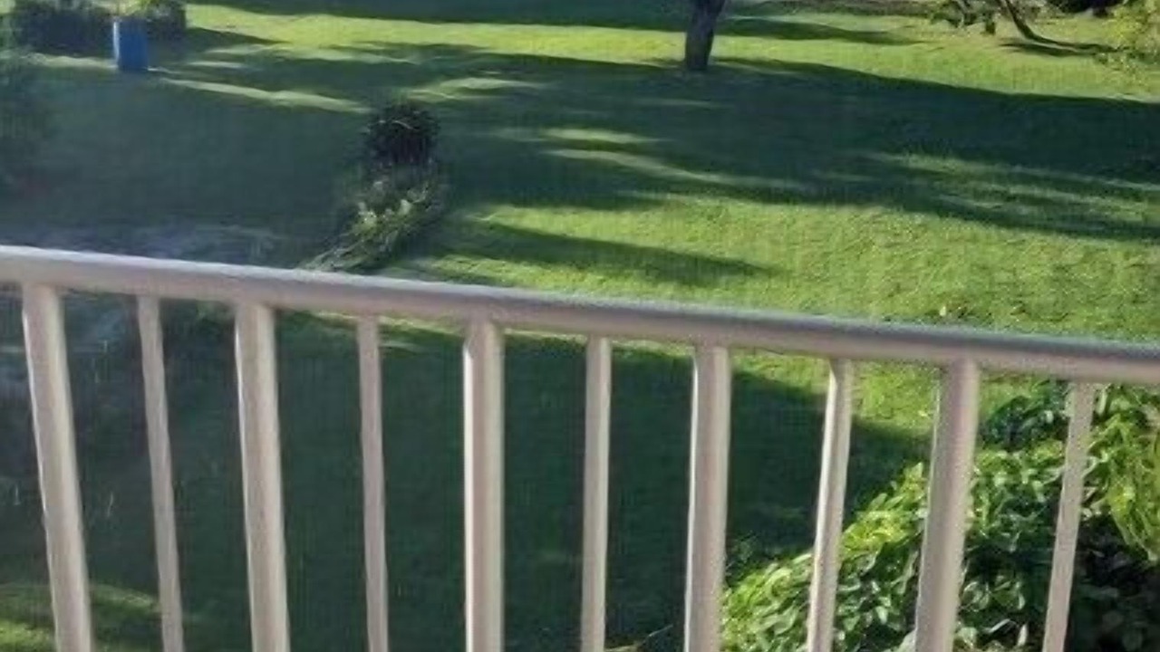 Photo of Outdoor in Belmont