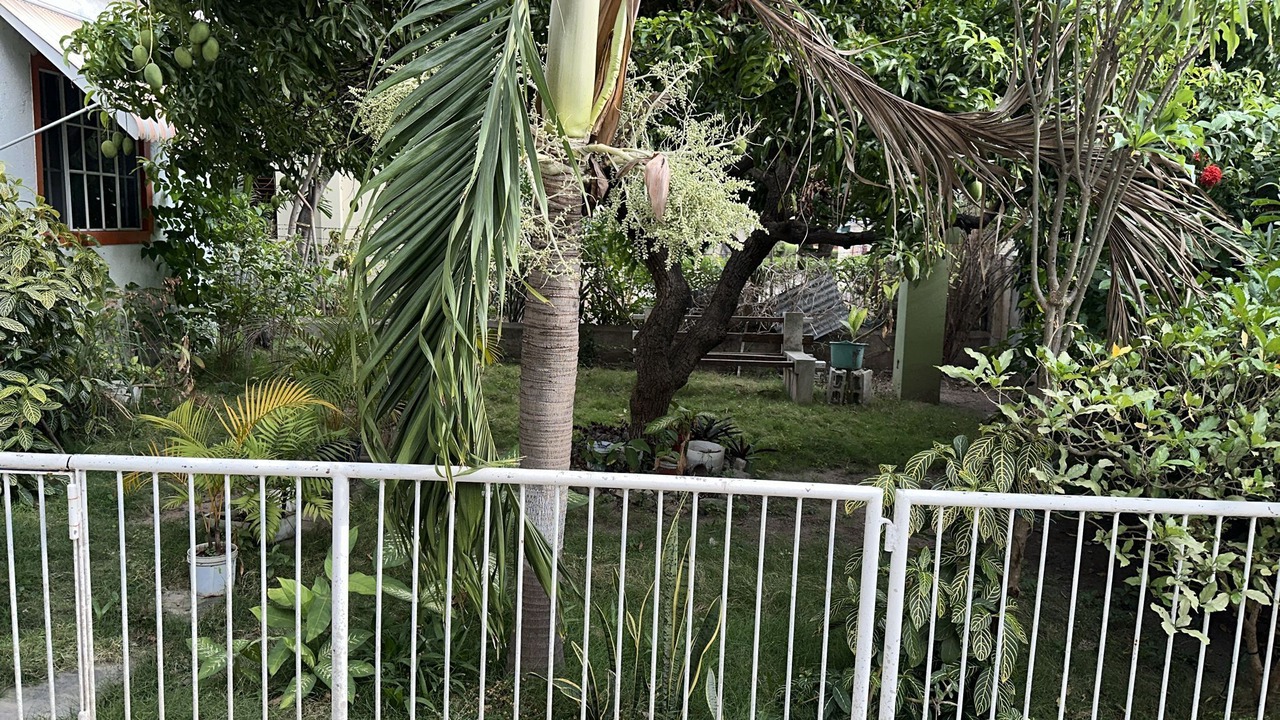 Photo of Outdoor in Kingston