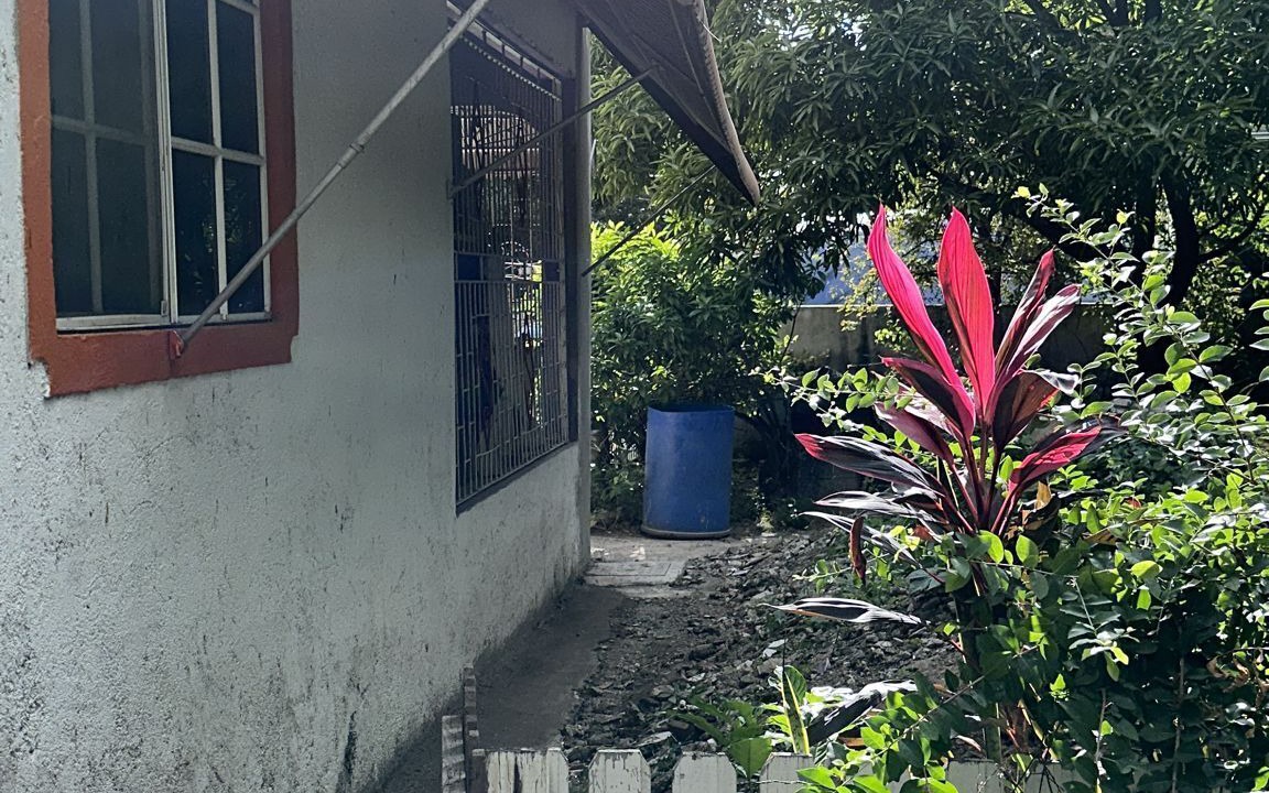 Photo of Outdoor in Kingston