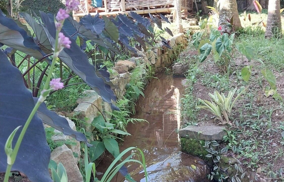 Photo of Outdoor in Sao Pedro da Serra
