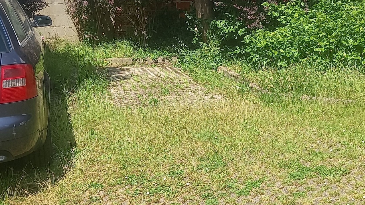 Photo of Outdoor in Tremblay-en-France