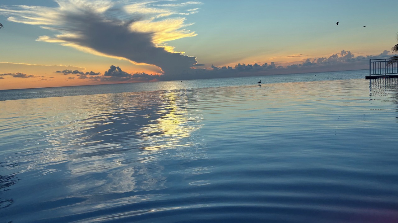 Photo of Others in South Bimini