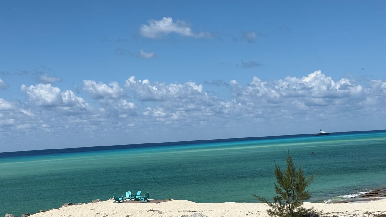 Photo of Others in South Bimini