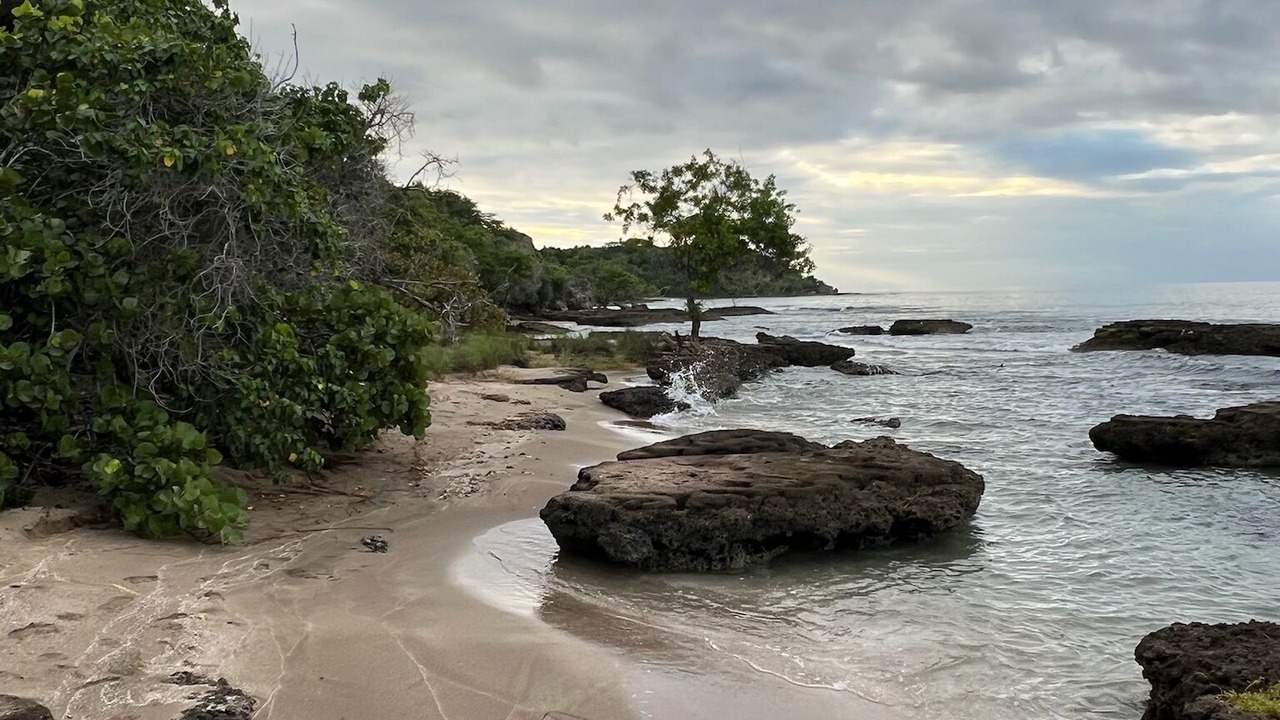 Photo of Others in Treasure Beach
