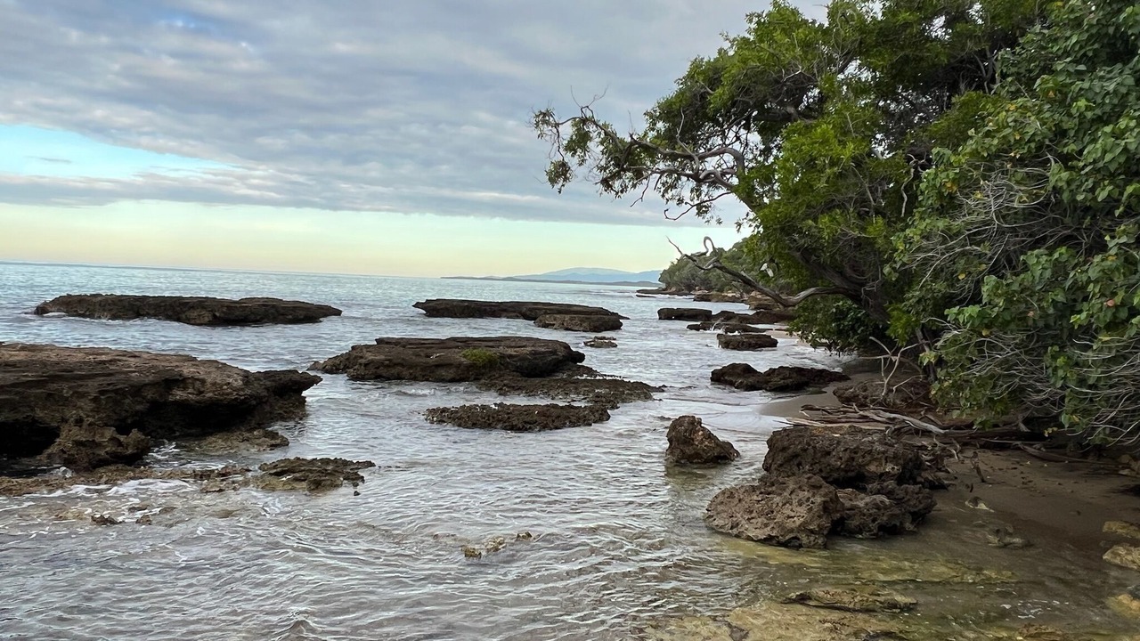 Photo of Others in Treasure Beach
