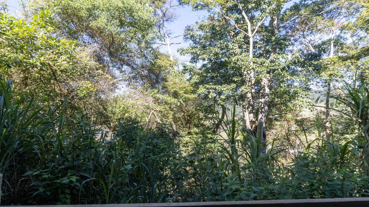 Photo of Outdoor in Sao Judas Tadeu