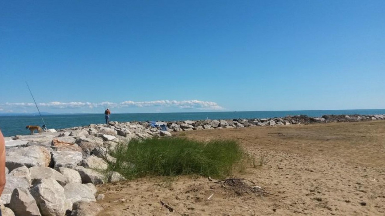 Photo of Others in San Michele al Tagliamento