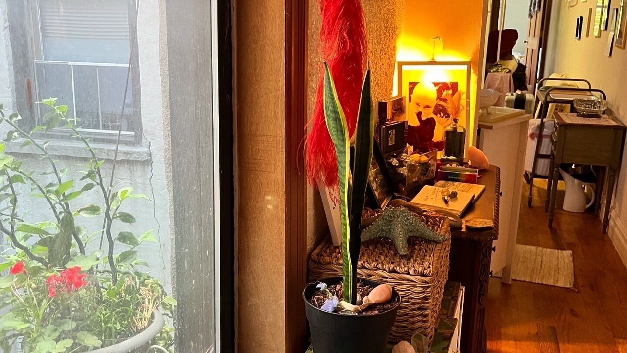 Photo of Others in Crown Heights