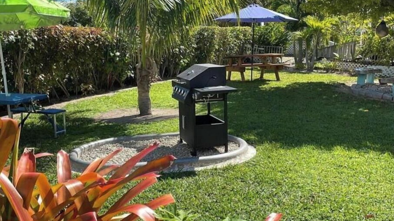 Photo of Outdoor in Windsor Park