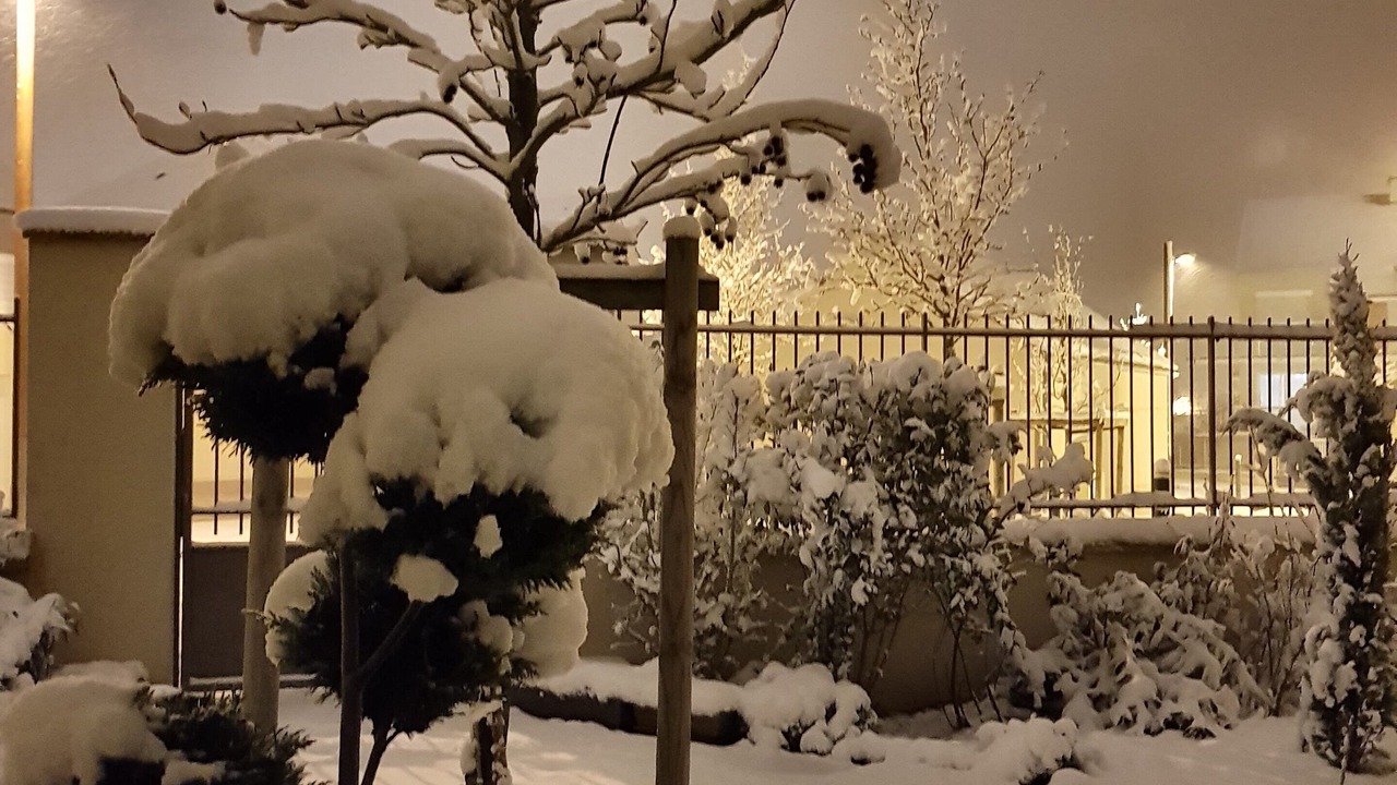 Photo of Outdoor in Chanteloup-en-Brie