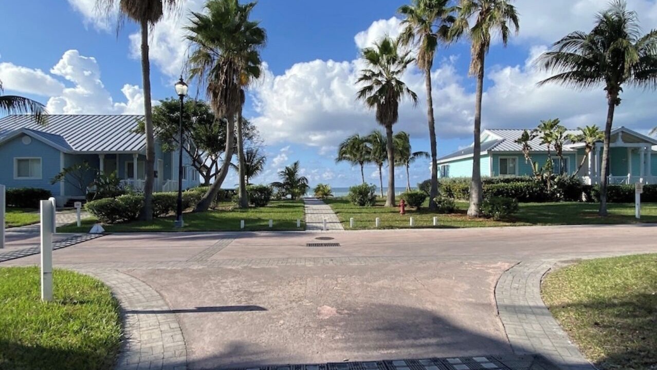 Photo of Outdoor in Alice Town