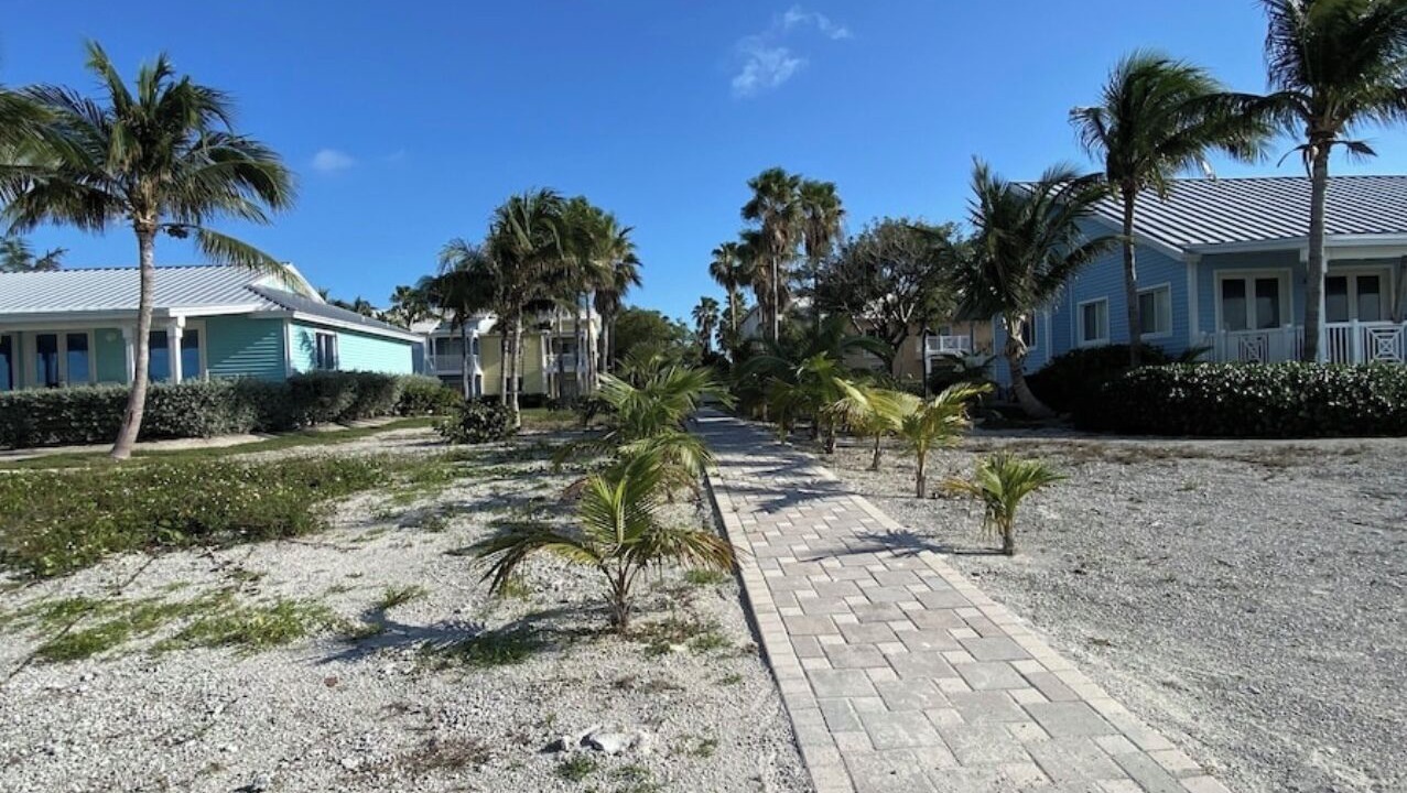 Photo of Outdoor in Alice Town
