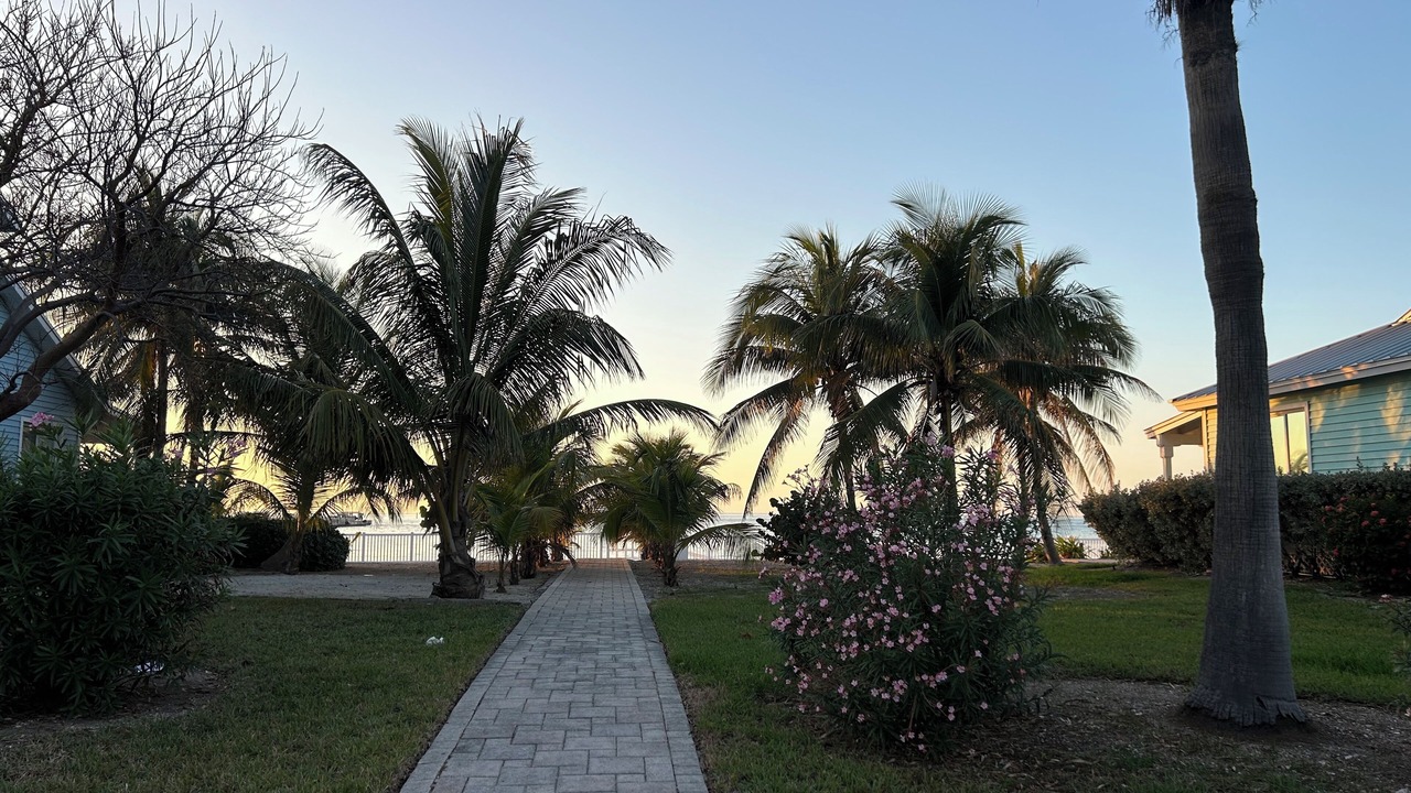 Photo of Outdoor in Alice Town