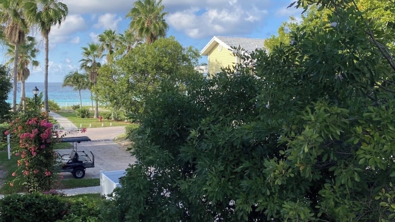 Photo of Outdoor in Alice Town