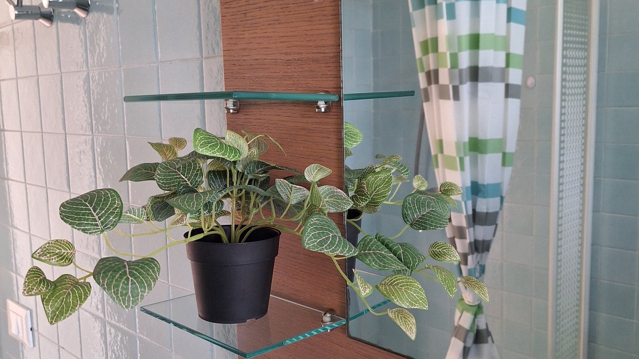 Photo of Bathroom in Mirano