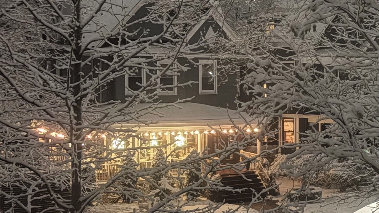 Photo of Outdoor in Flatbush