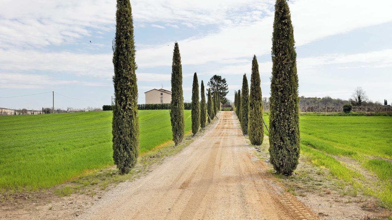 Photo of Others in Castelnuovo del Garda