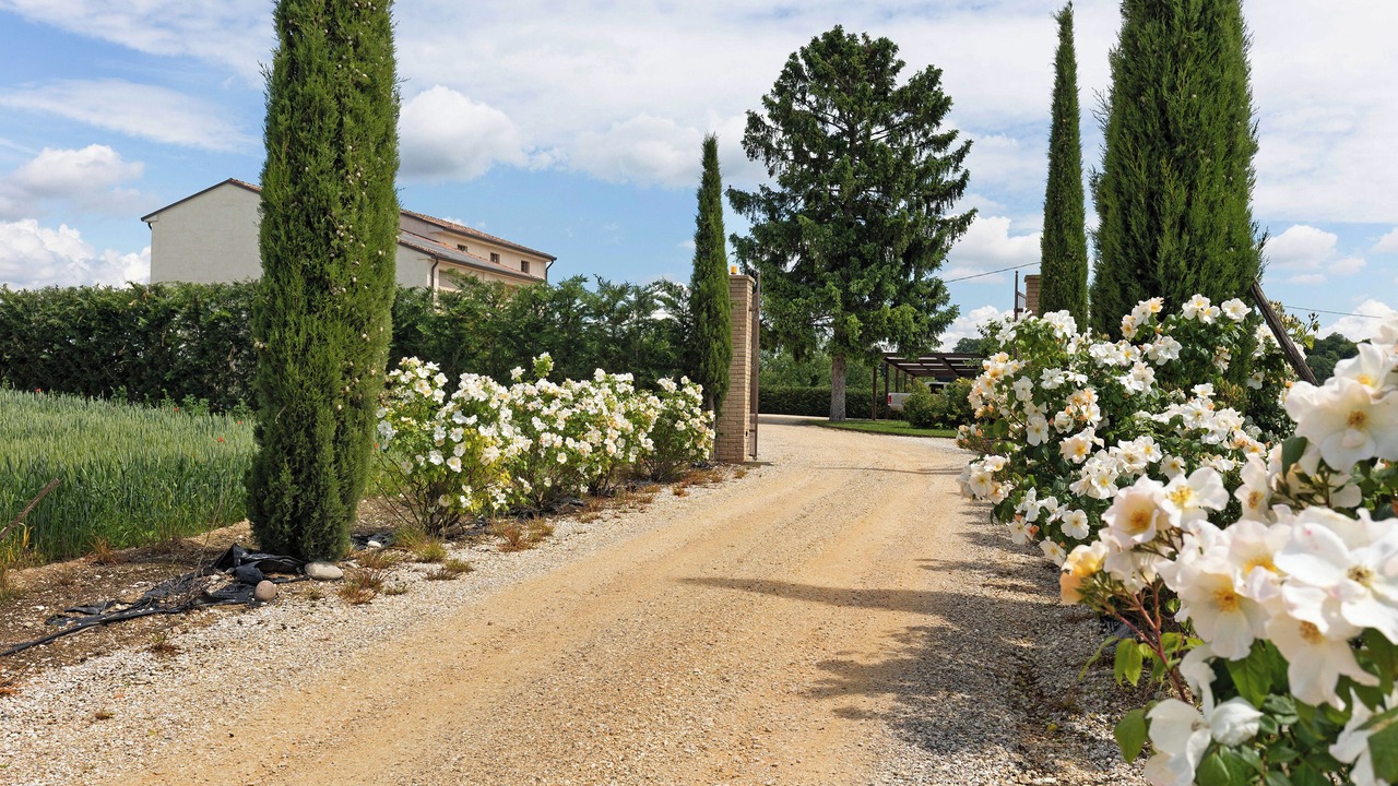 Photo of Outdoor in Castelnuovo del Garda