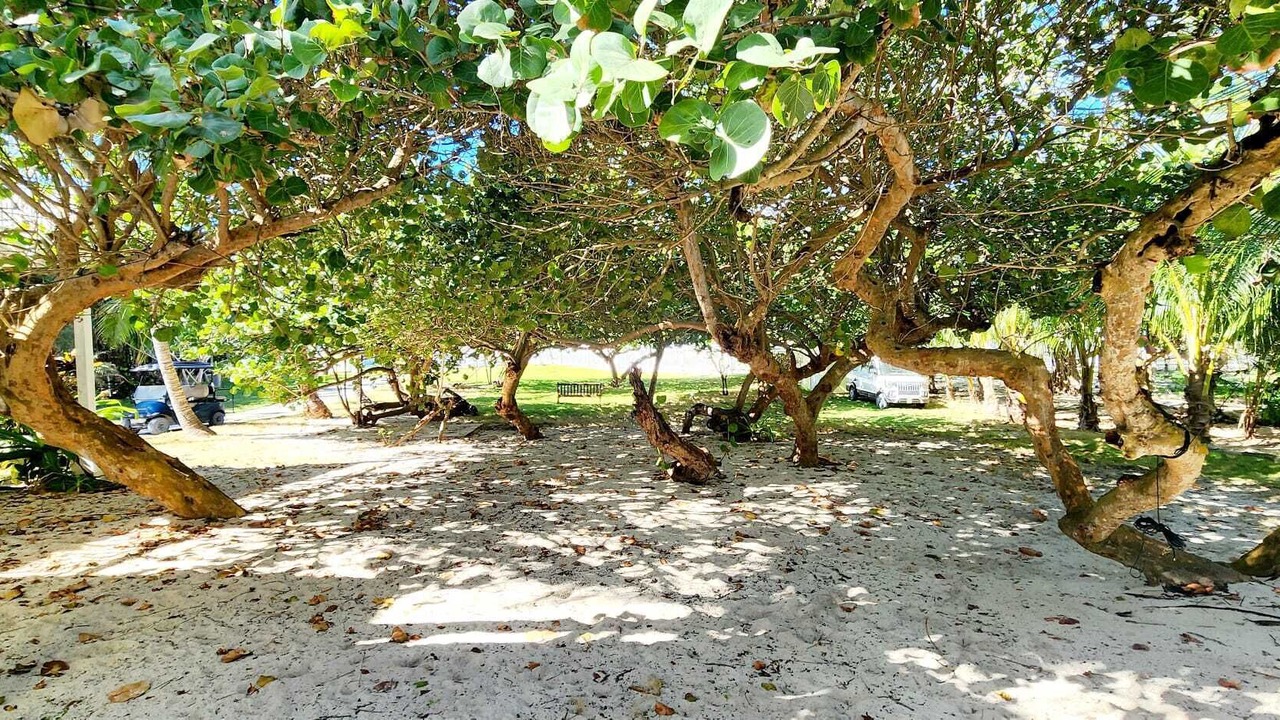 Photo of Outdoor in Hope Town