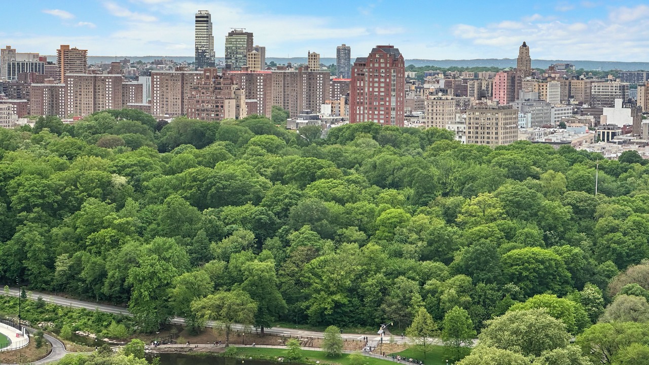 Photo of Outdoor in Central Park North