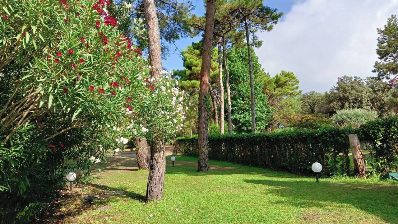 Photo of Outdoor in Isola Albarella