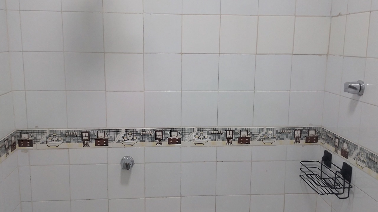 Photo of Bathroom in Centro