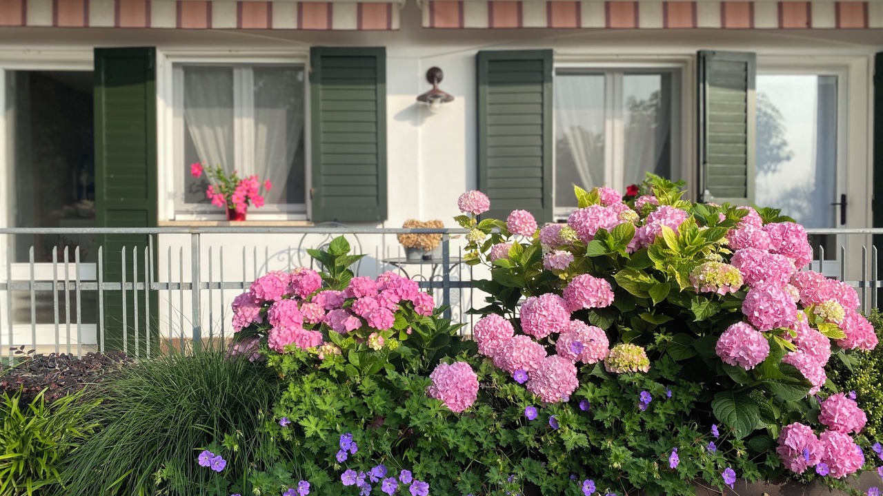 Photo of Outdoor in Teolo