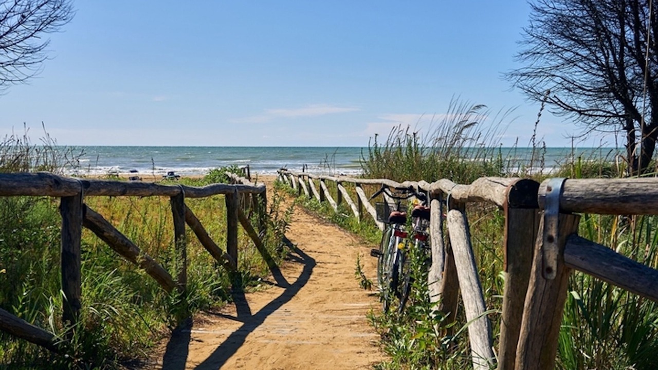 Photo of Others in Bibione