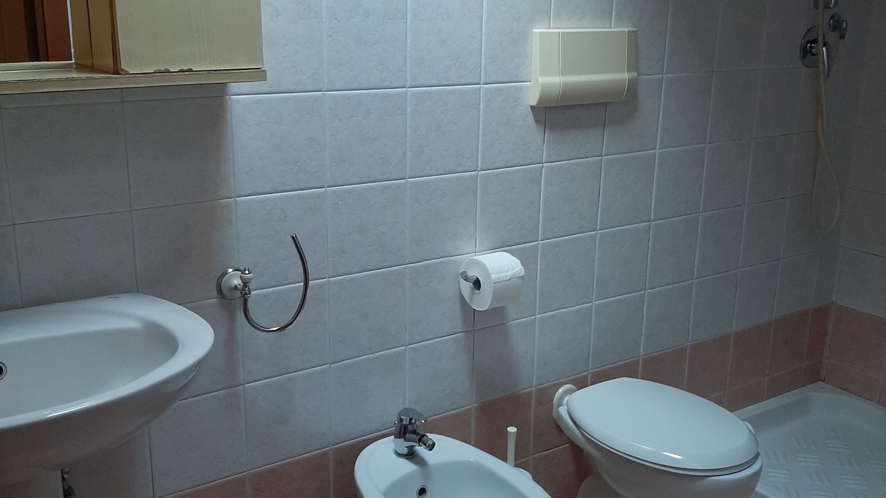 Photo of Bathroom in Longa