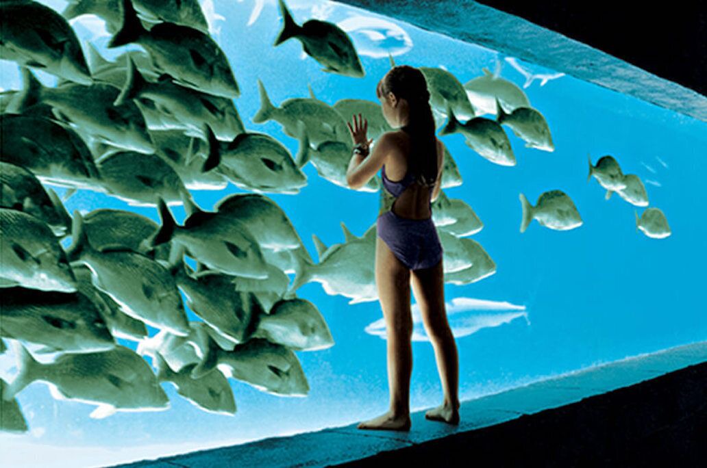 Photo of Others in Paradise Island