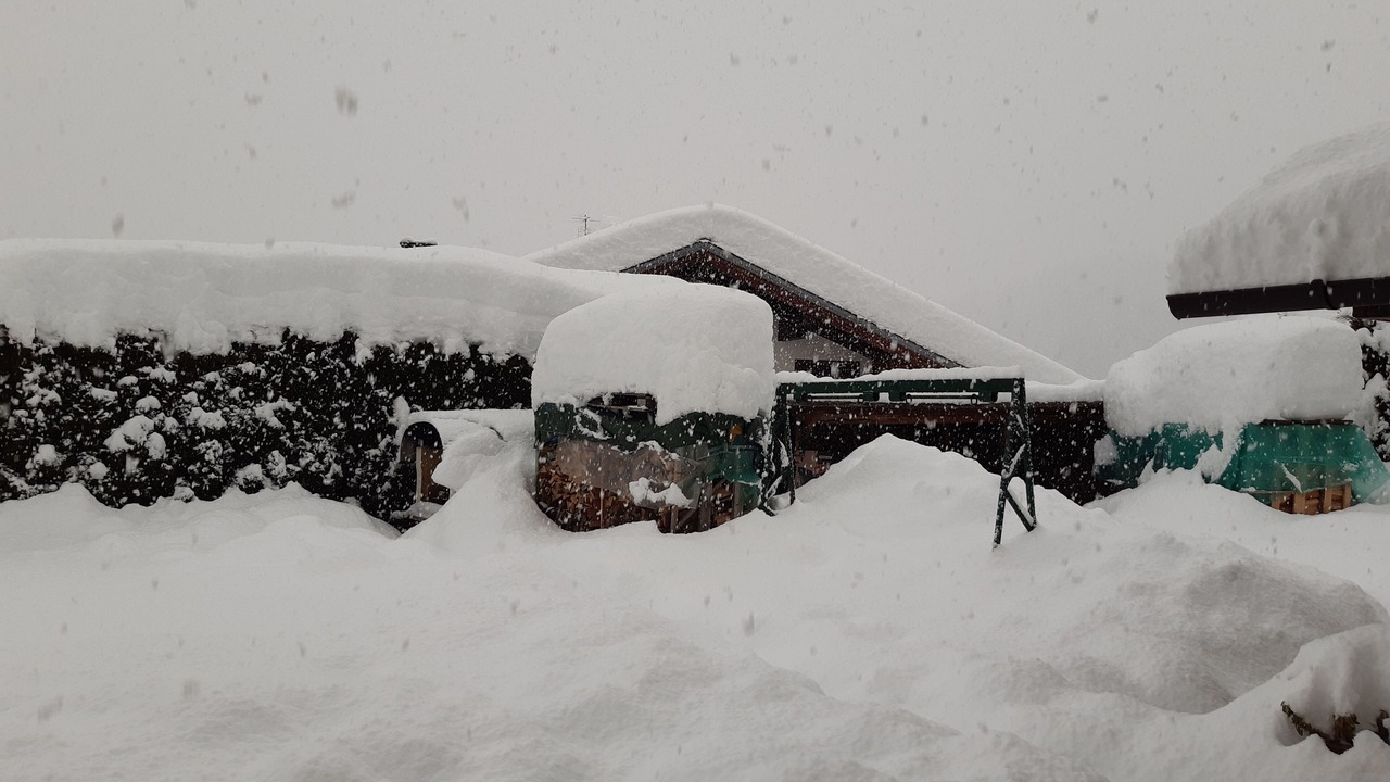 Photo of Outdoor in Laggio di Cadore