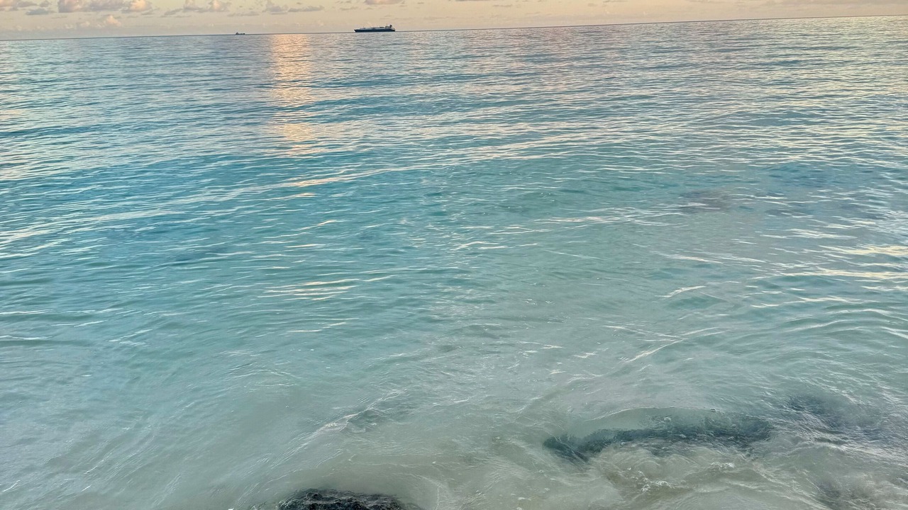 Photo of Others in Bahamia West
