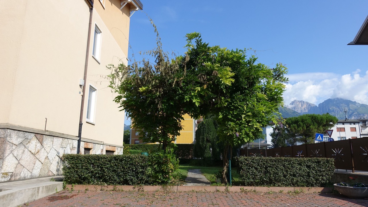 Photo of Outdoor in Belluno