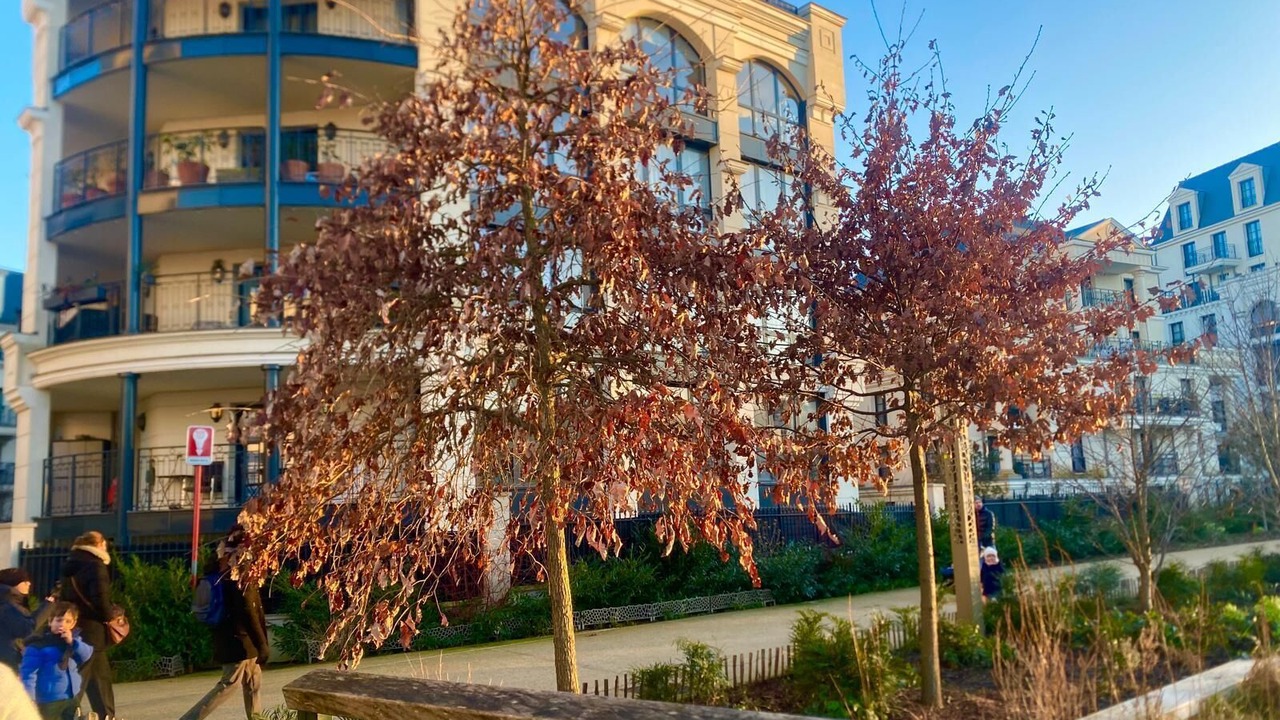 Photo of Outdoor in Le Plessis-Robinson