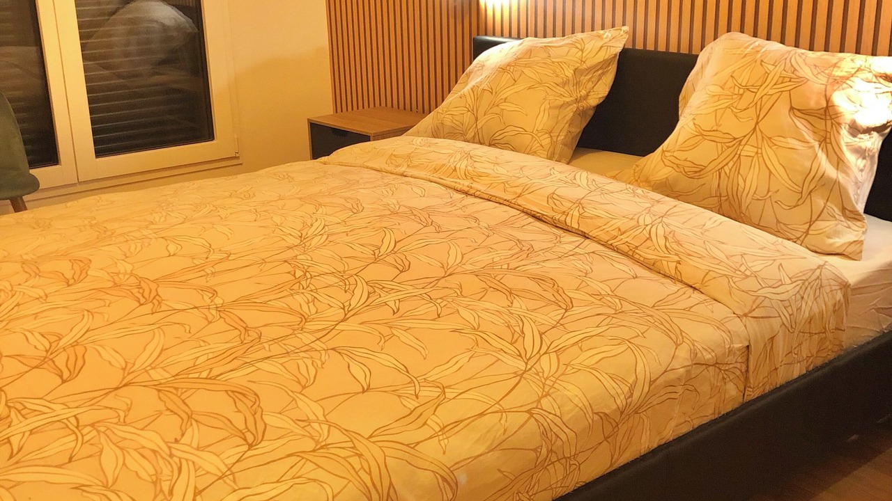 Photo of Bedroom in Le Plessis-Robinson